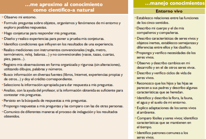 Ciencias Naturales Estándares De Competencias