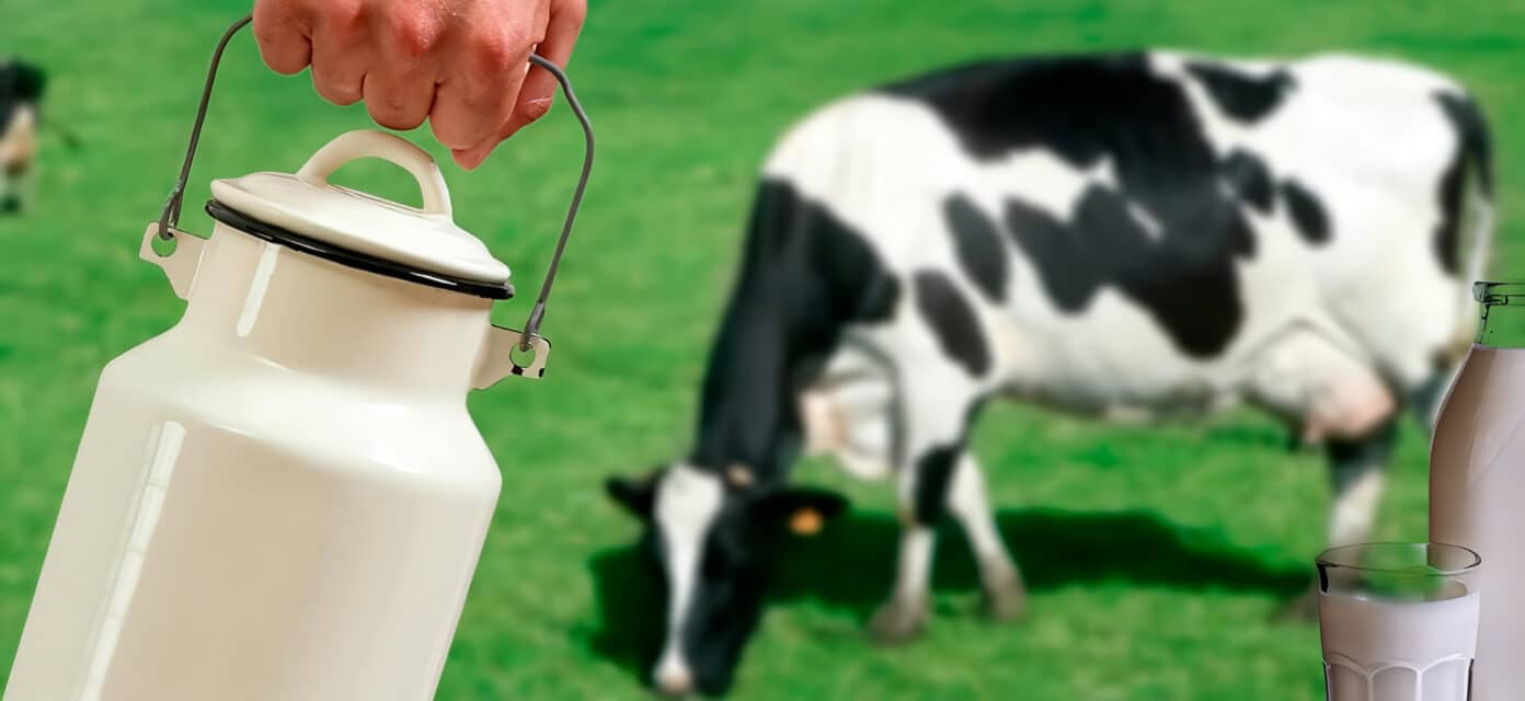 Qu Es Pasteurizaci N Agroindustria