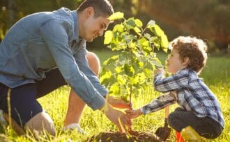 Cómo Enseñar a tus Hijos a cuidar el Medio Ambiente