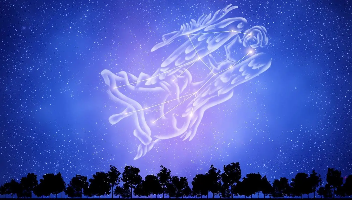 Características de Virgo
