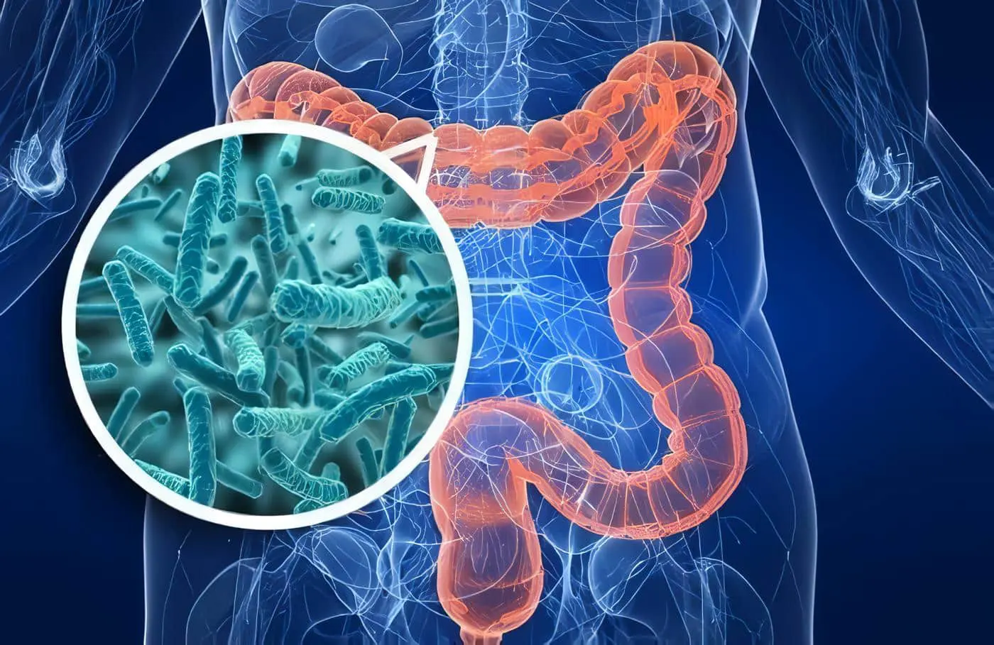 Bacterias Intestinales