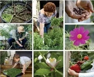 La horticultura terapéutica