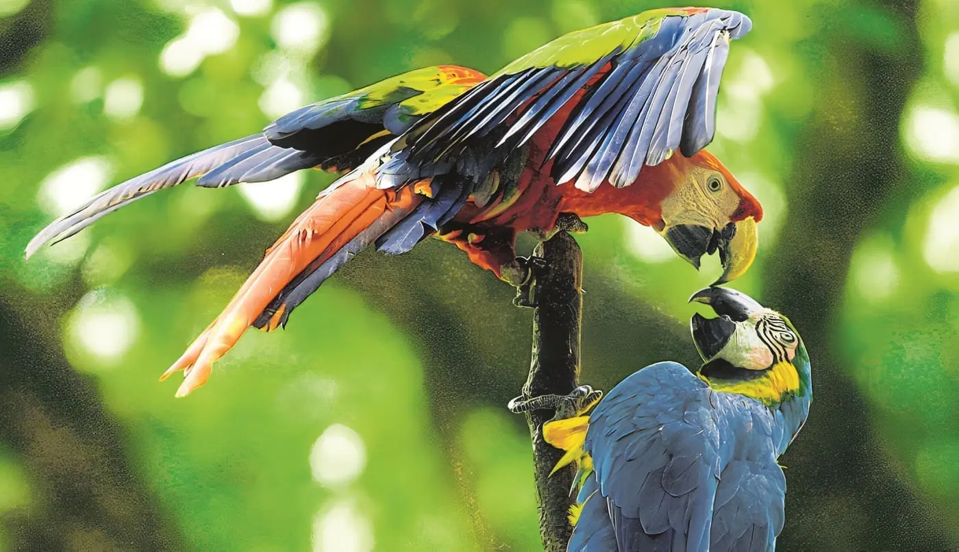 Fauna en Colombia
