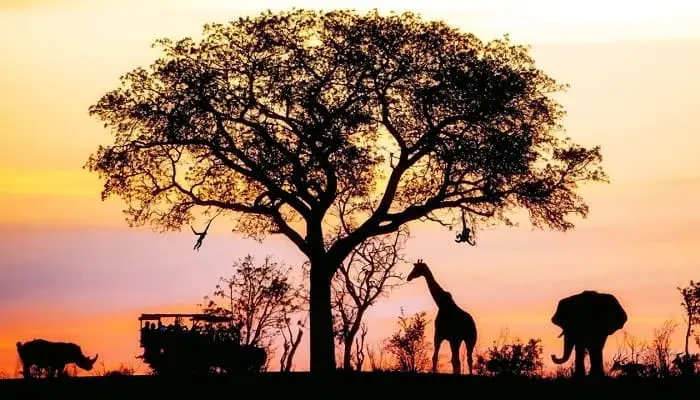 Geografía en África