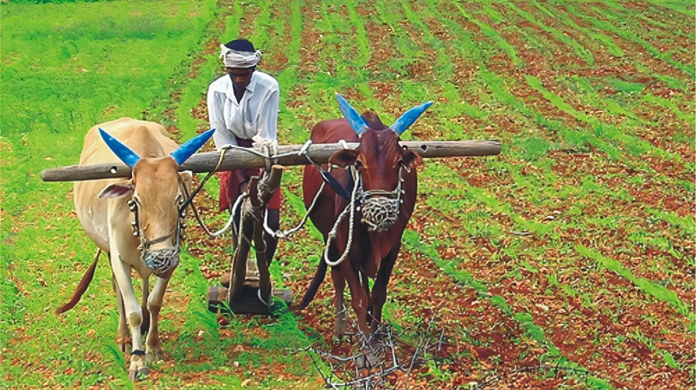 Agricultura Tradicional