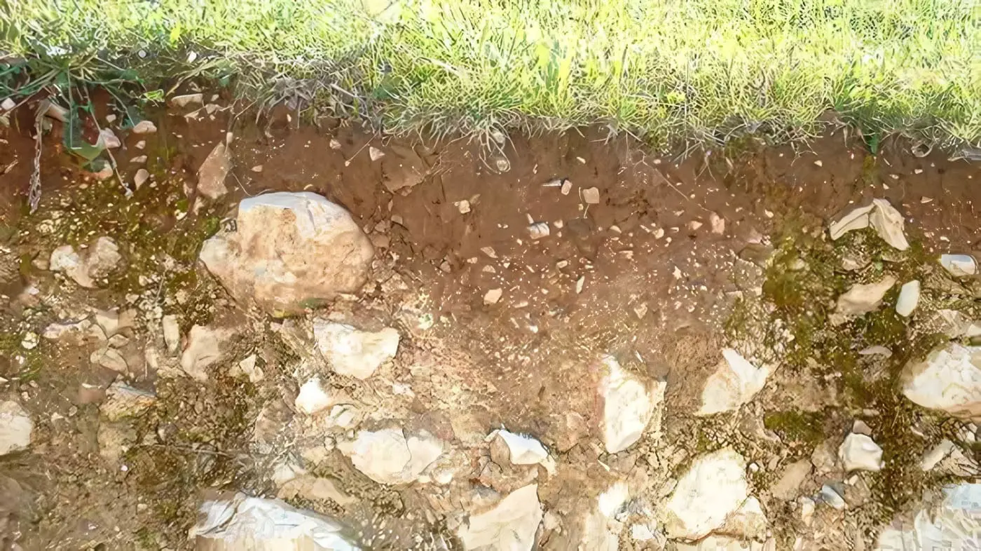 Estructura del Suelo