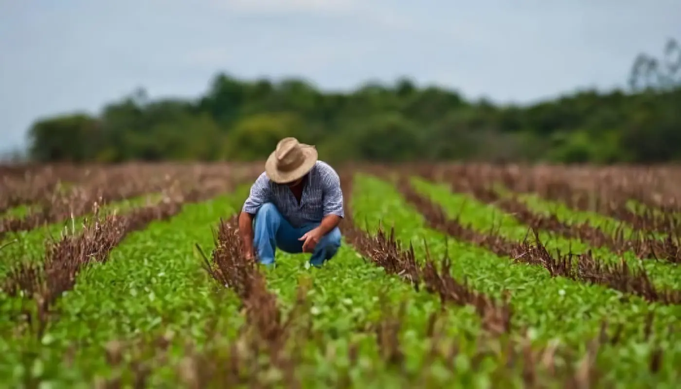 Agricultura en Colombia