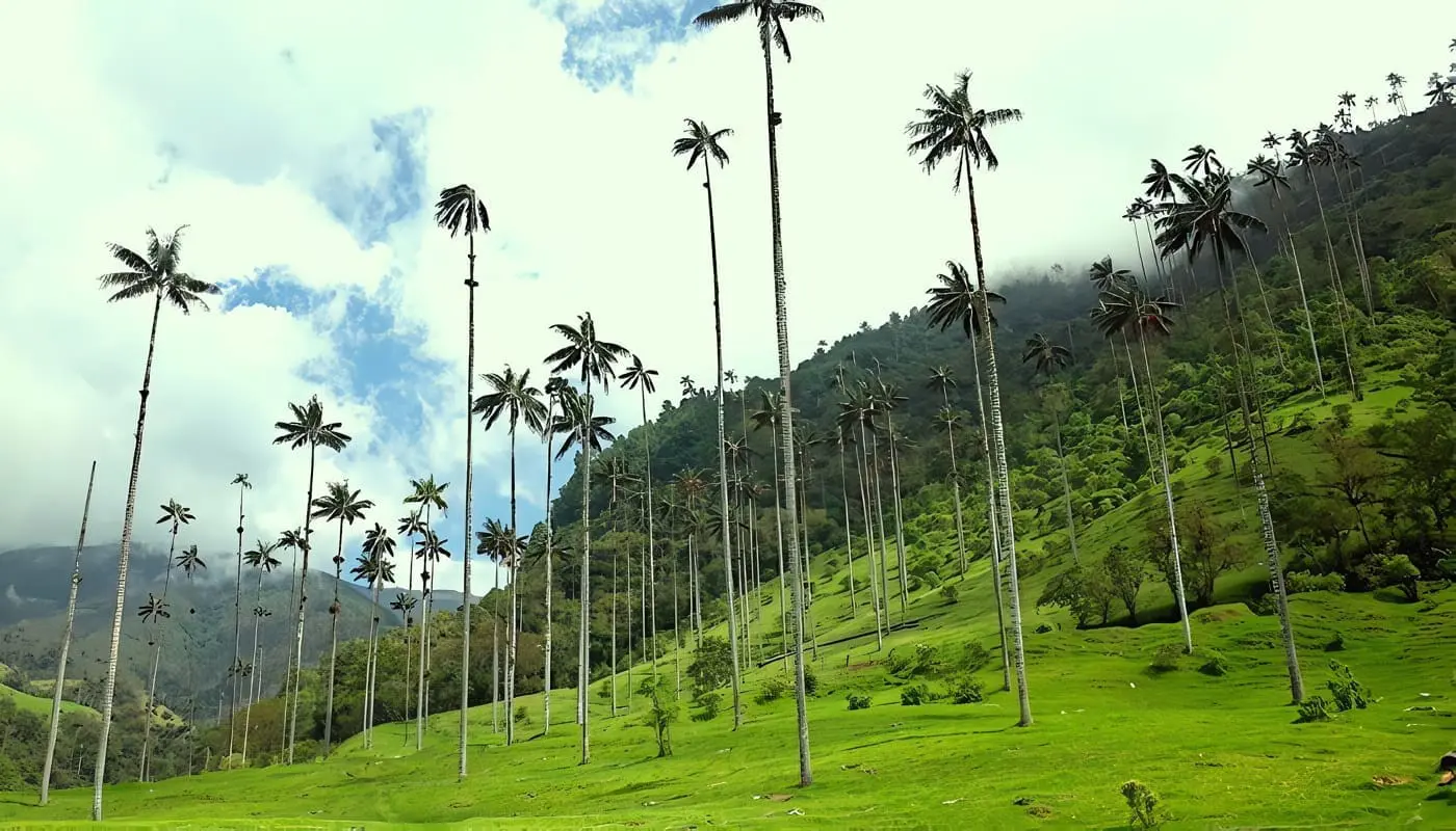 Climas en Colombia