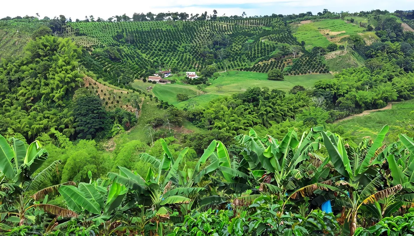 Eje Cafetero Colombiano