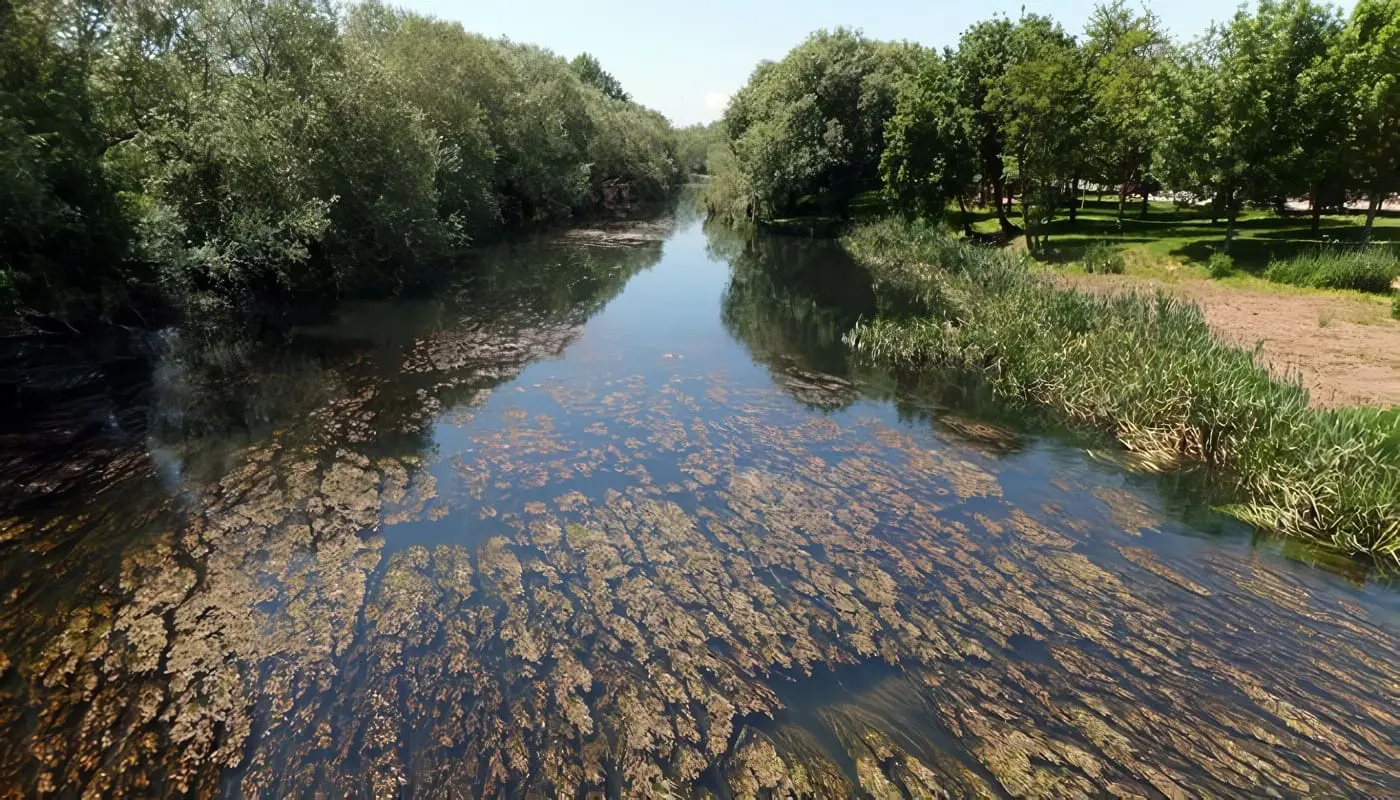 Ecosistemas de Agua Dulce