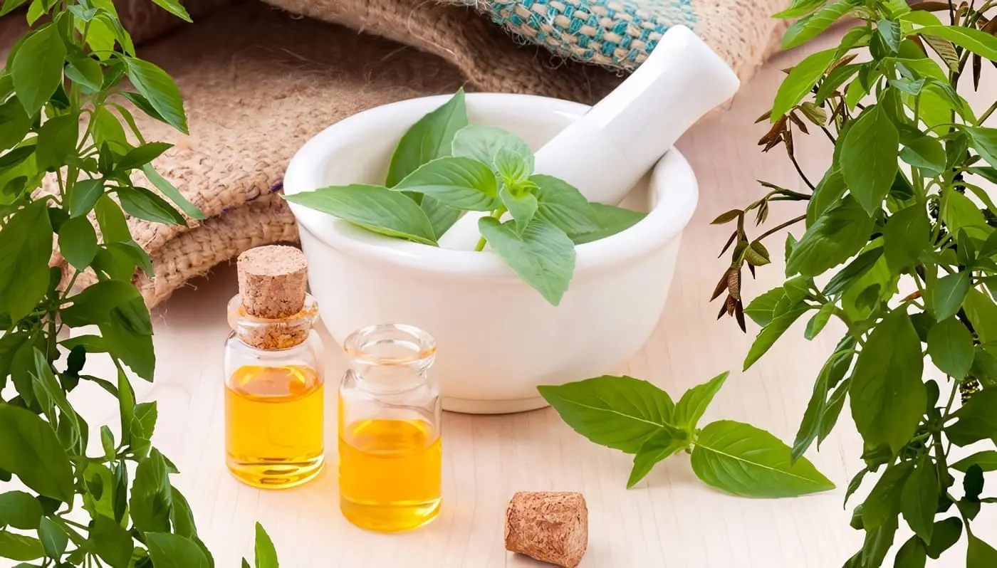 Etnomedicina