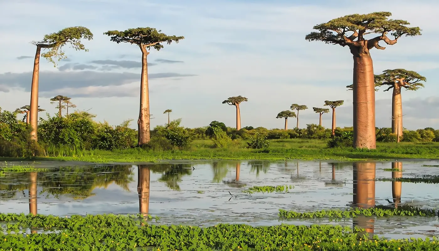 Geografía de Madagascar