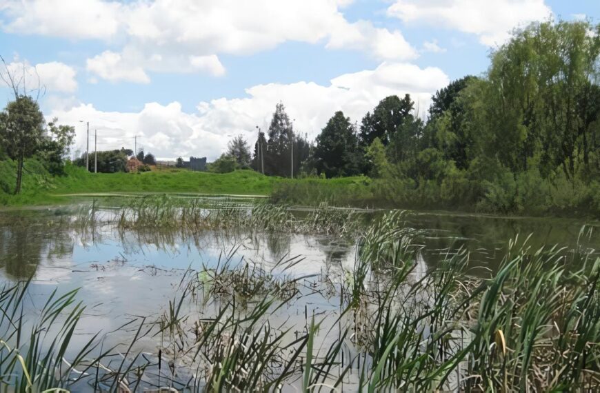 Lineamientos para adoptar un enfoque sistemático de identificación de humedales prioritarios para ser designados con arreglo a la Convención de Ramsar