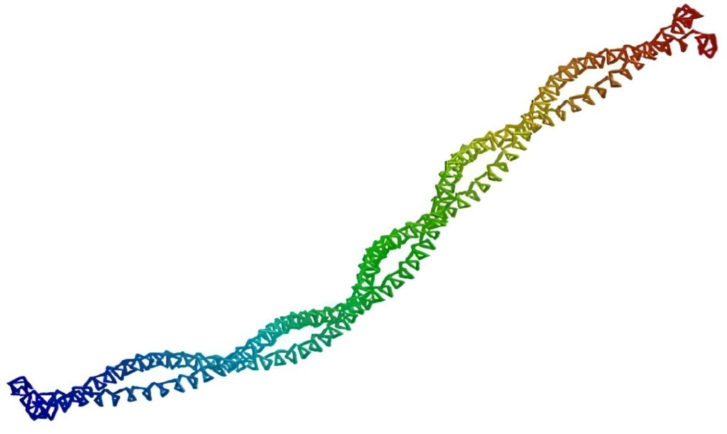 Significado Biológico de la Reactividad Cruzada