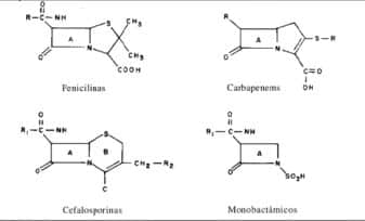 ß-lactámicos