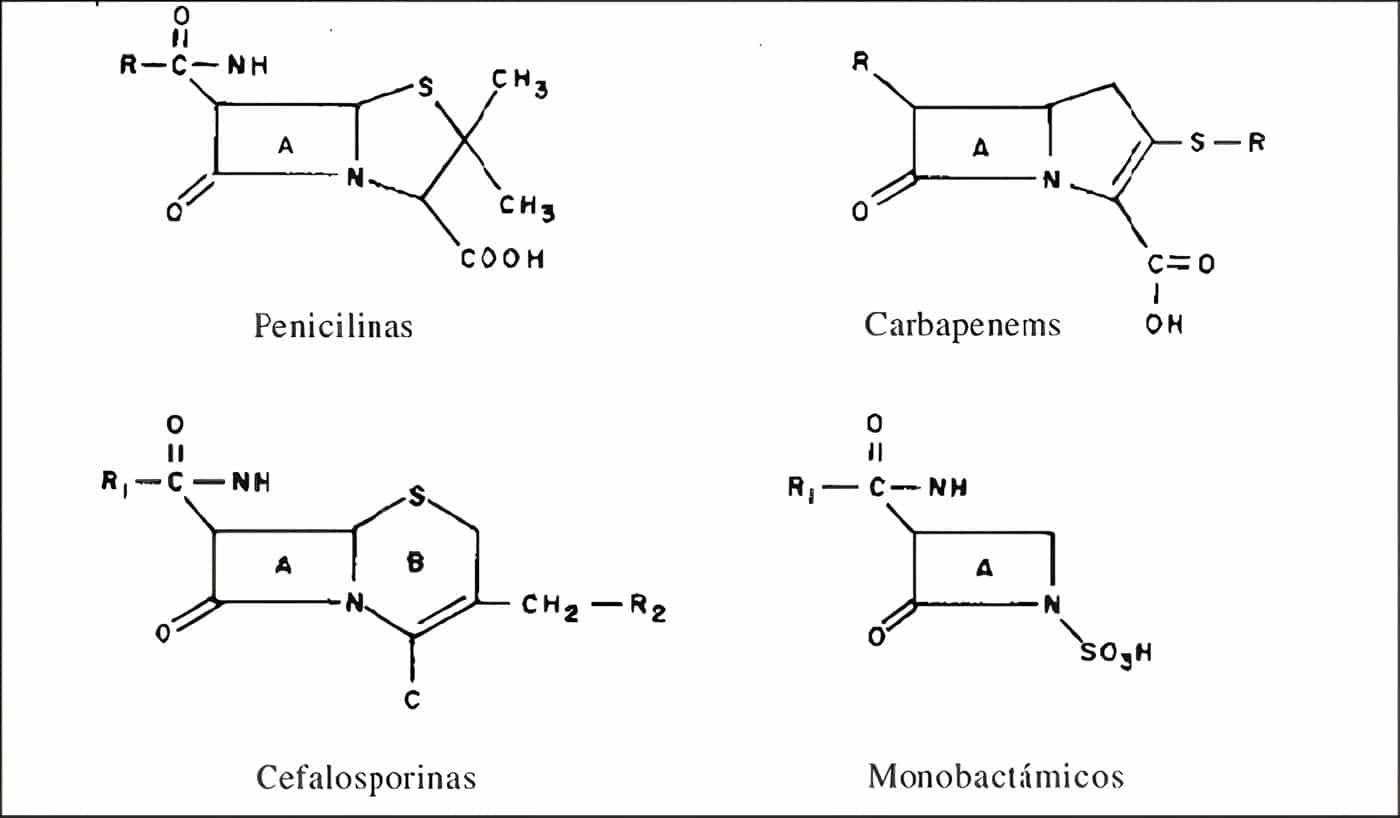 ß-lactámicos