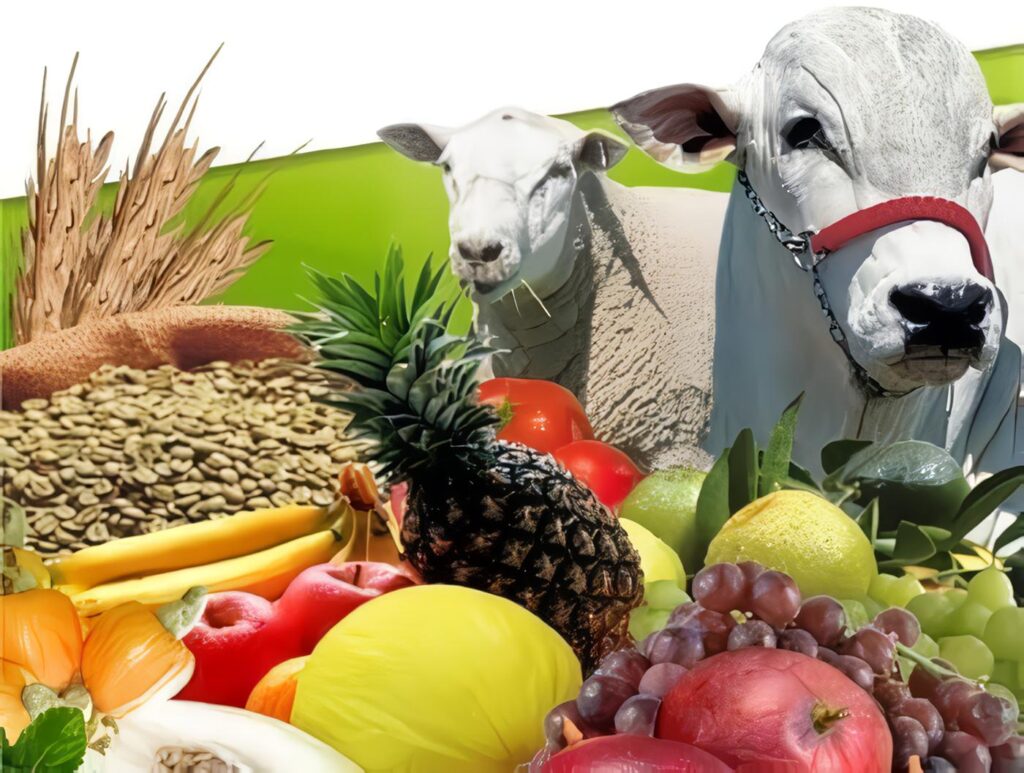 La Bolsa Nacional Agropecuaria como Alternativa para Productos Agropecuarios