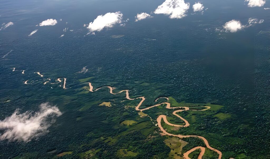 Famazónico Fondo Ambiental Amazonía – Decreto 888 de 1997