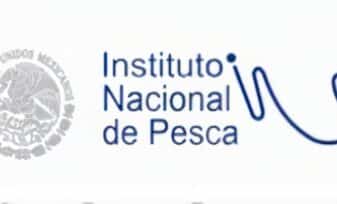 Estatuto Nacional de Pesca y Creación del INPA, Instituto Nacional de Pesca y Agricultura – Decreto 2256 91