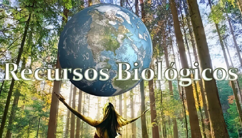 Institutos de Investigación de Recursos Biológicos – Decreto 1603 94