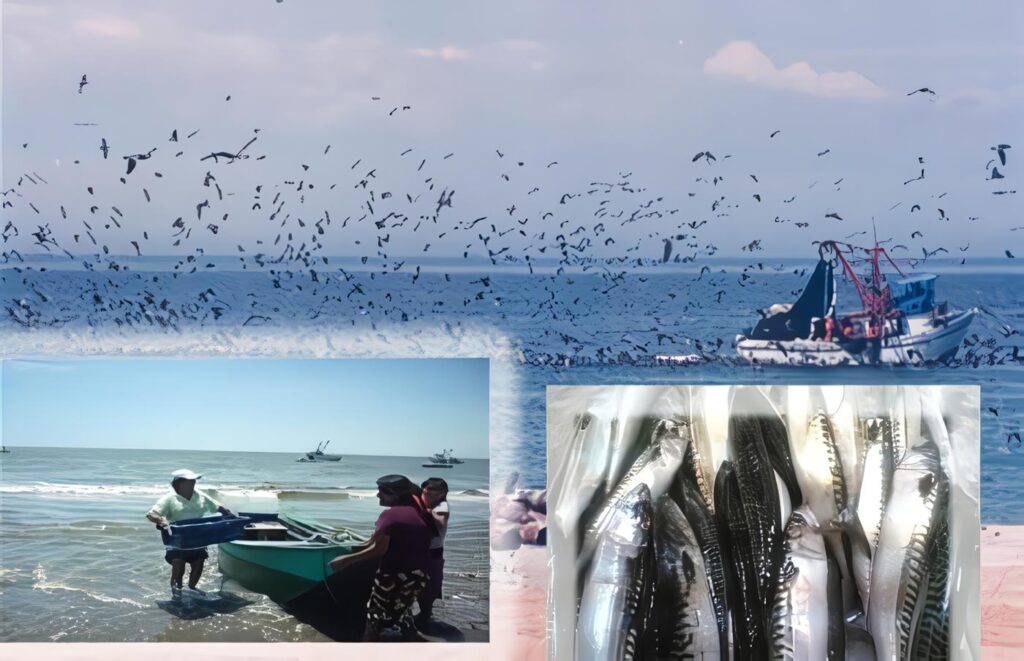 Manejo de los Recursos Hidrobilógicos – Decreto 1681 78