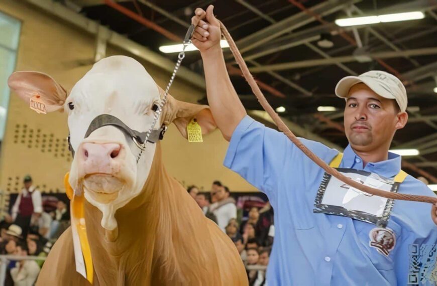 Corferias se Convertirá en la más extensa Finca del país con Agroexpo 99