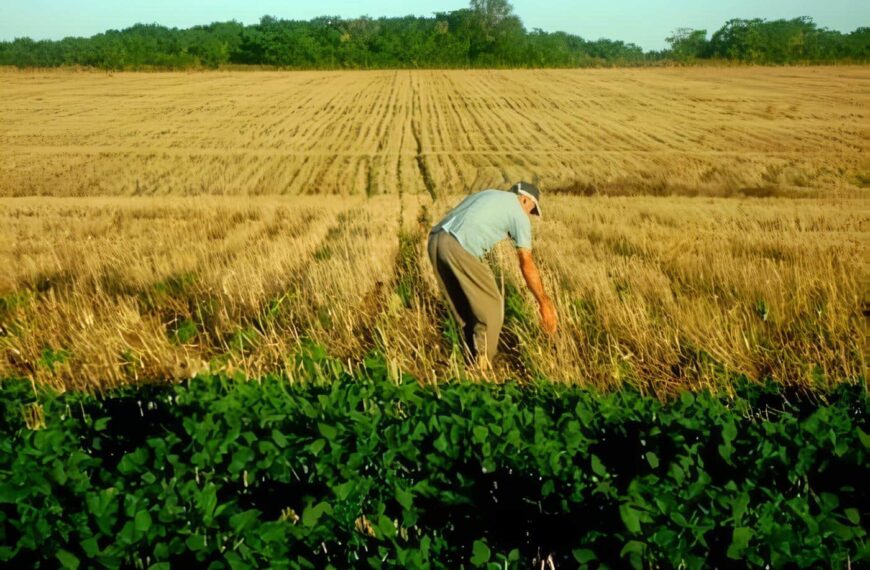 Convención de Ciencias Agropecuarias S. XXI Seguridad Alimentaría