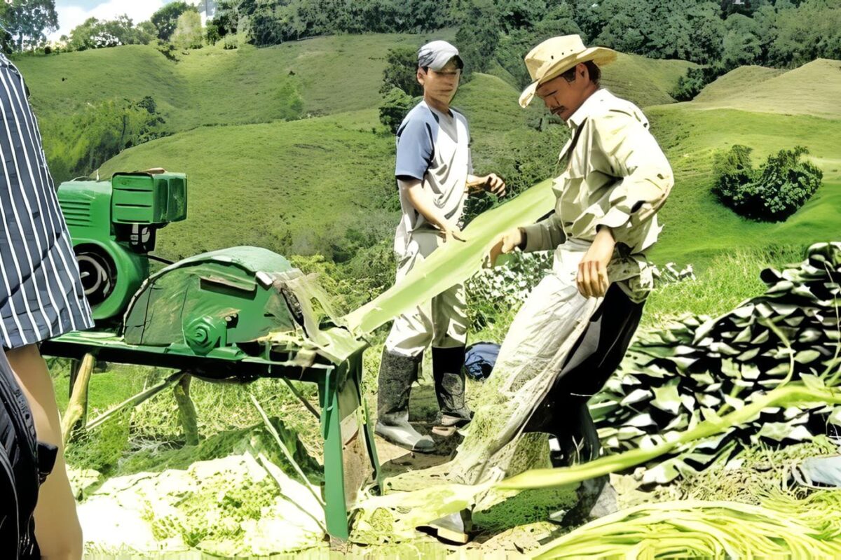 Colombia y el Futuro con Seguridad Alimentaria