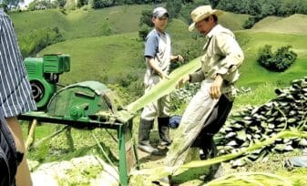 Colombia y el Futuro con Seguridad Alimentaria