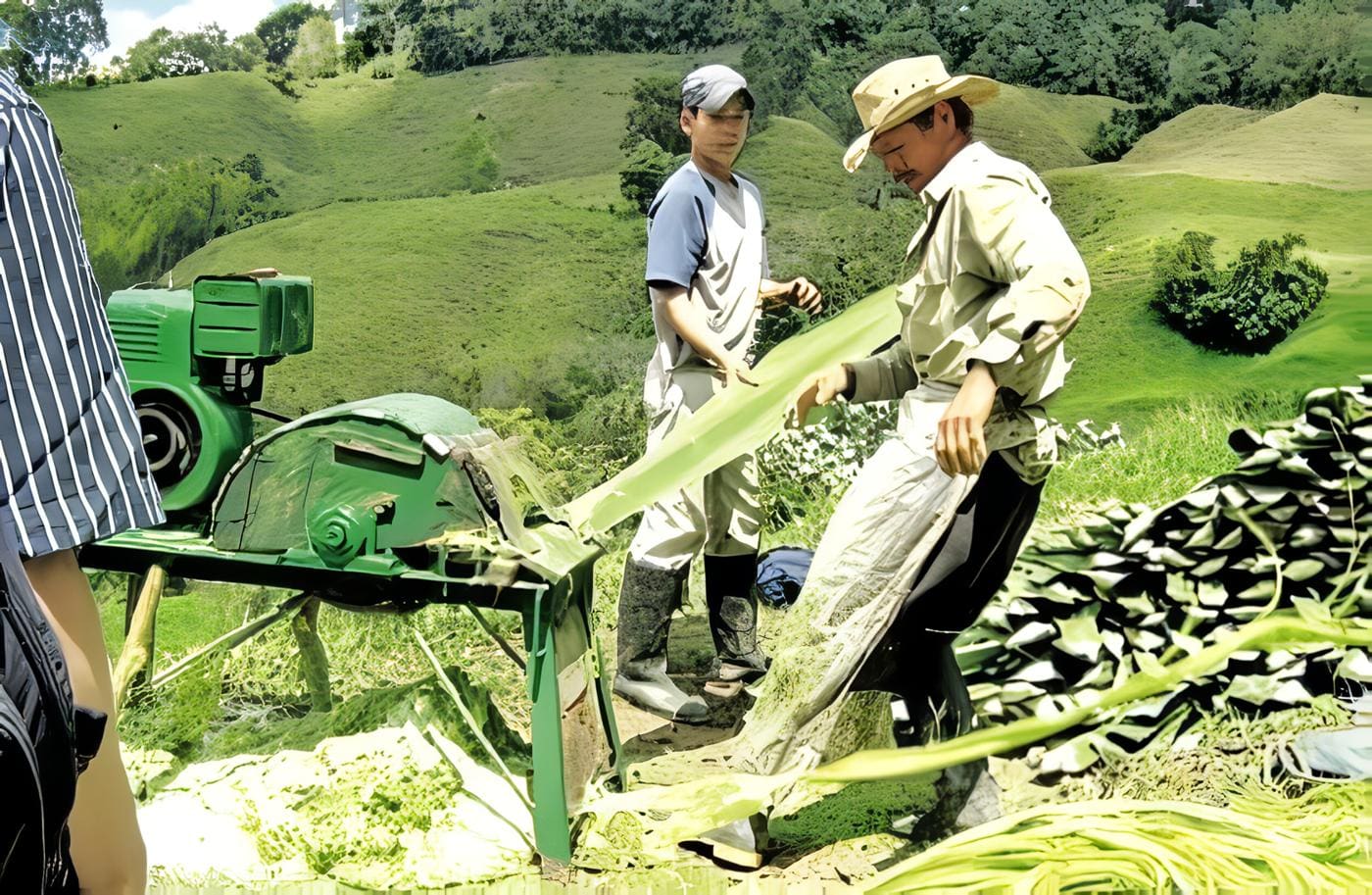 Colombia y el Futuro con Seguridad Alimentaria