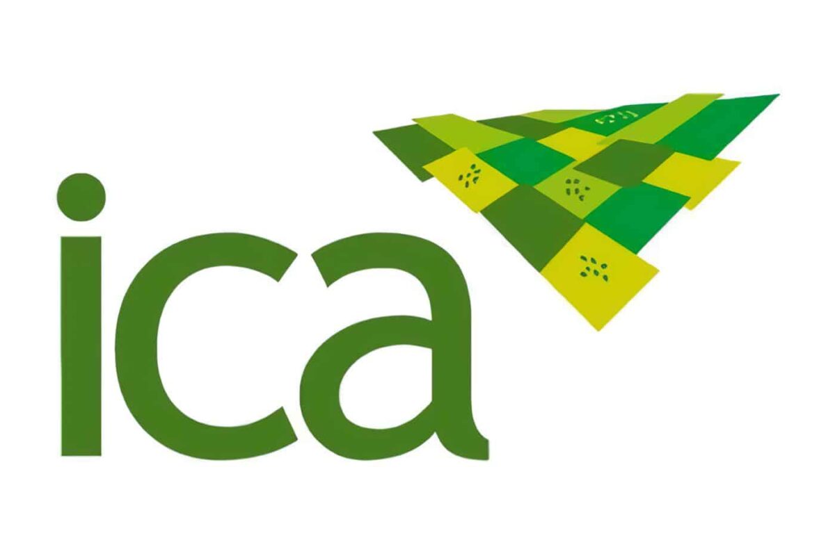 Ajuste al Modelo Institucional del ICA