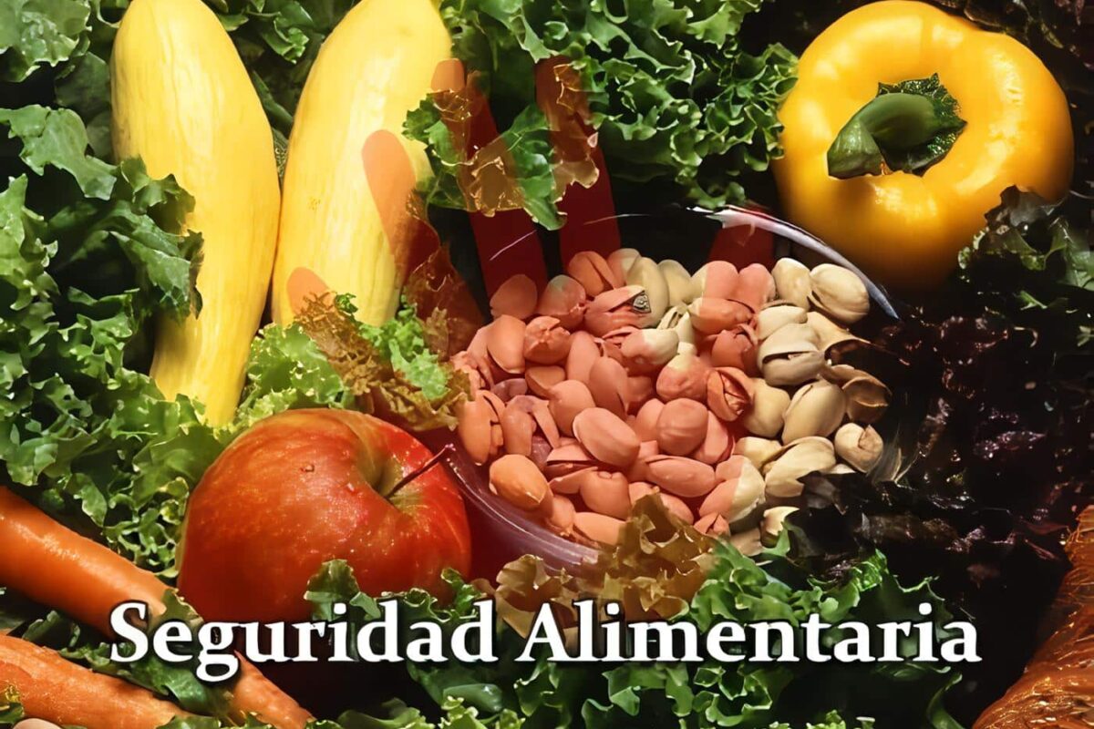 Convención sobre Seguridad Alimentaría Siglo XXI