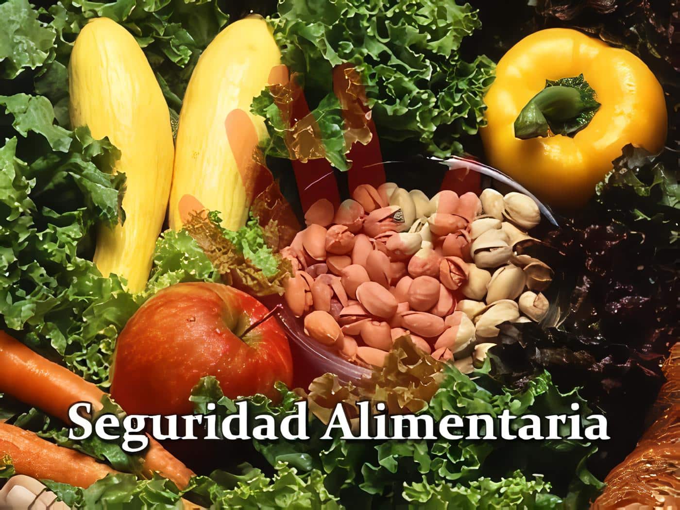 Convención sobre Seguridad Alimentaría Siglo XXI