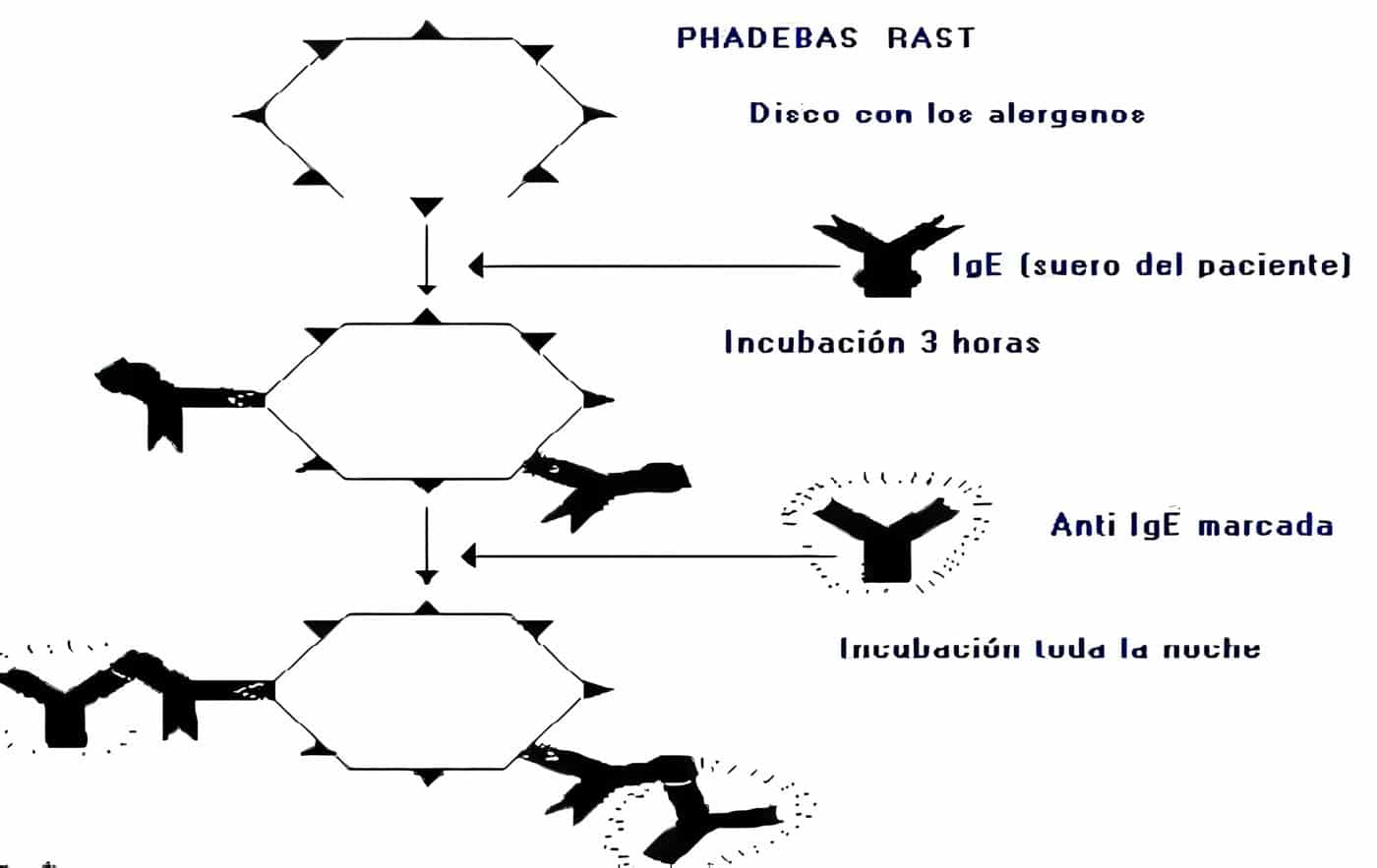 Inhibición del RAST