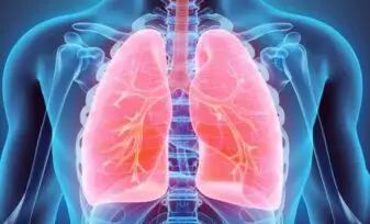 Trombosis fatal de las venas pulmonares como complicación precoz post trasplante de pulmón