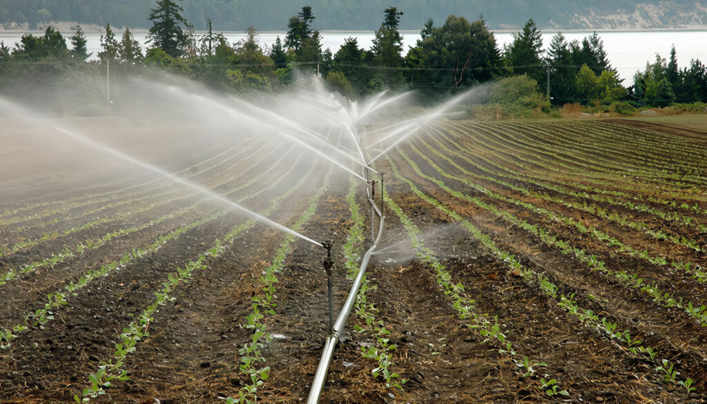 Deducción por Inversiones en Nuevas Plantaciones, Riegos, Pozos y Silos