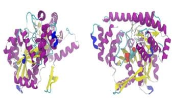 Glicoproteínas - Proteínas de Choque Térmico