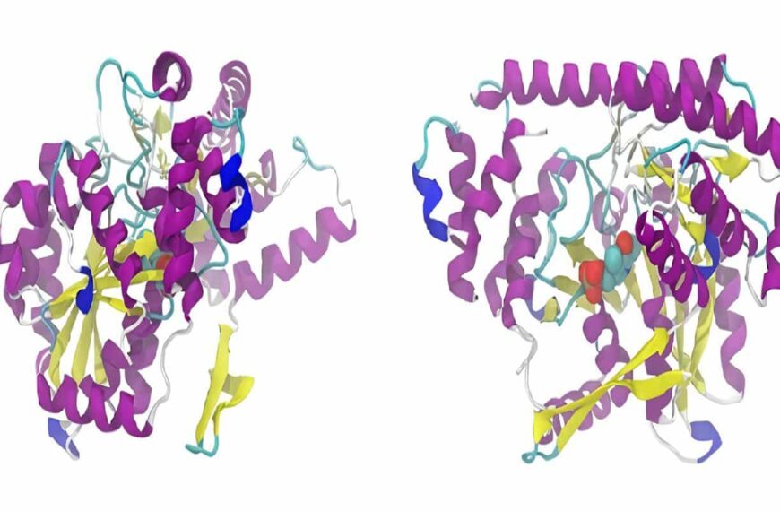 Glicoproteínas - Proteínas de Choque Térmico