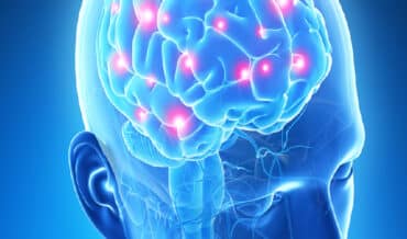 FUNDAMENTOS DE ENDOCRINOLOGÍA GINECOLÓGICA, MEDICINA