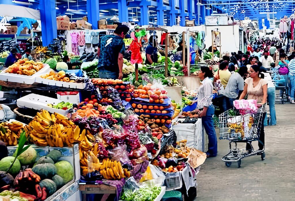 La Problemática y la Medición del Sector Informal: Experiencia de Colombia y de los Países Andinos Parte I