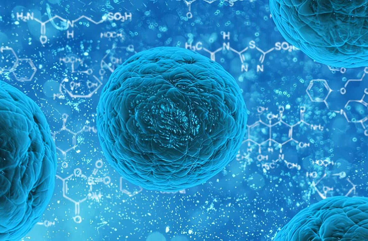 Carcinoma Oral Trasplantable para Bioensayos, Conclusiones