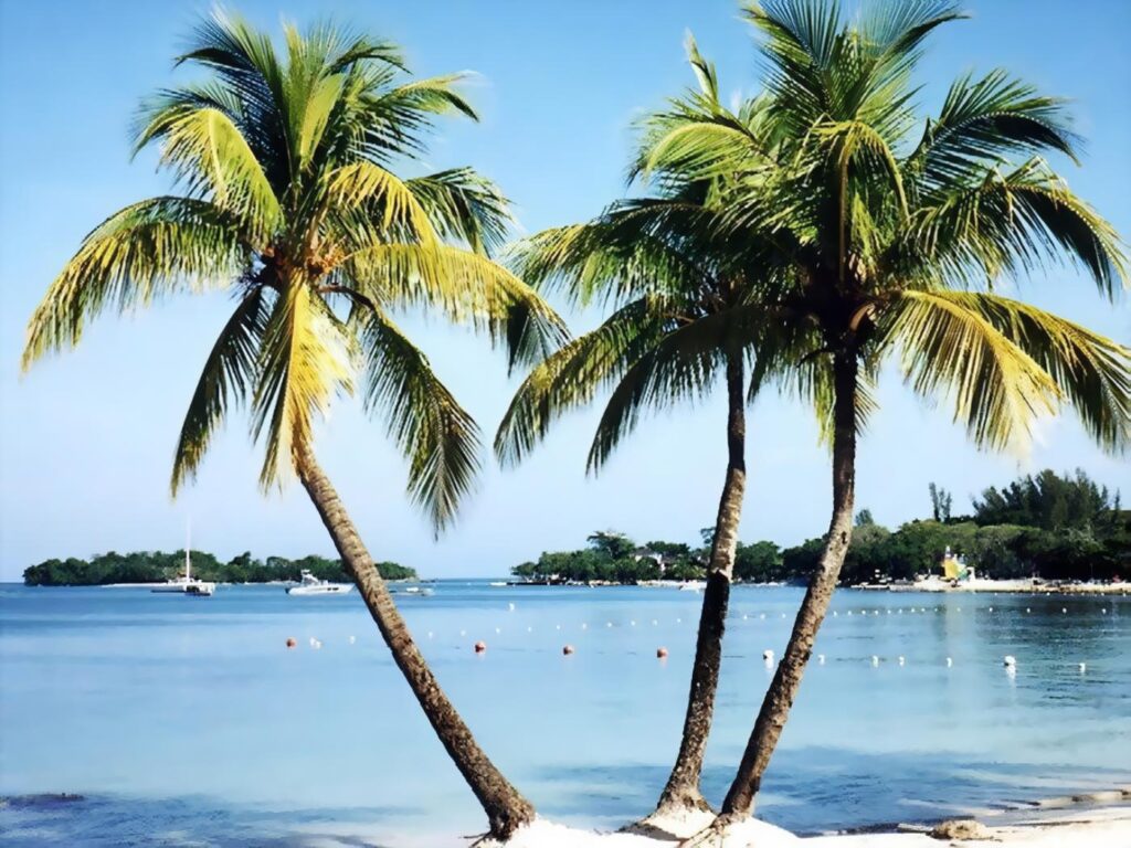 Impacto de Plaguicidas en Mar Caribe