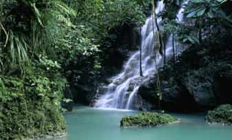 Cascadas en Port Antonio - Caribe