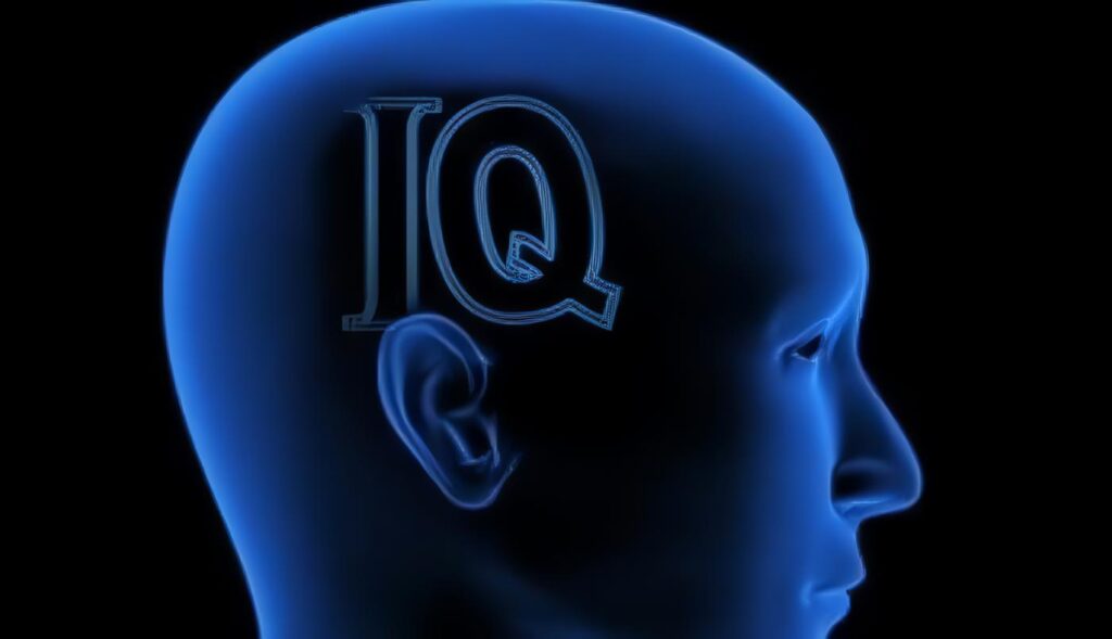 Test de Inteligencia