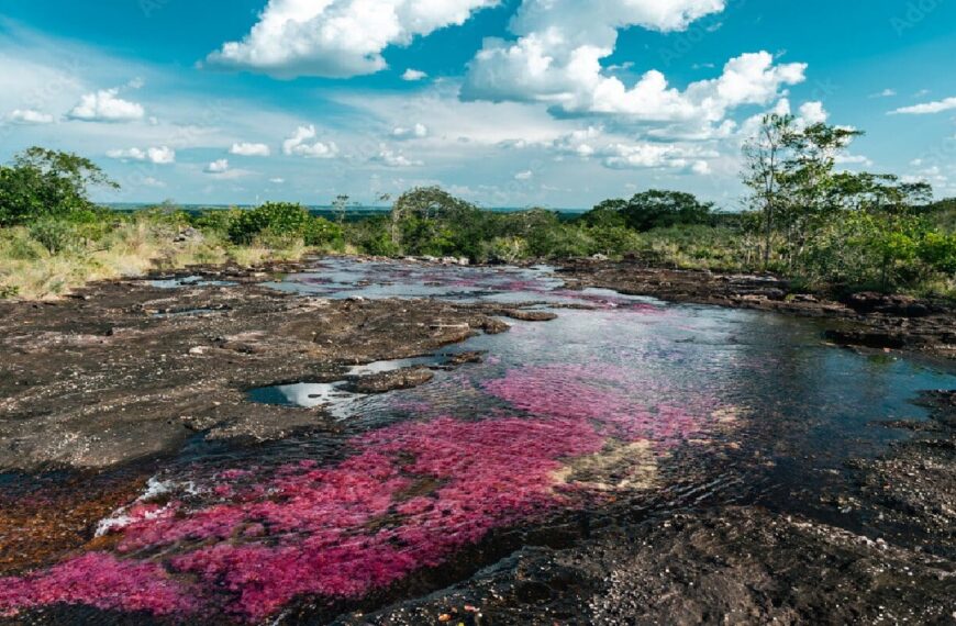 Caño Cristales - Meta