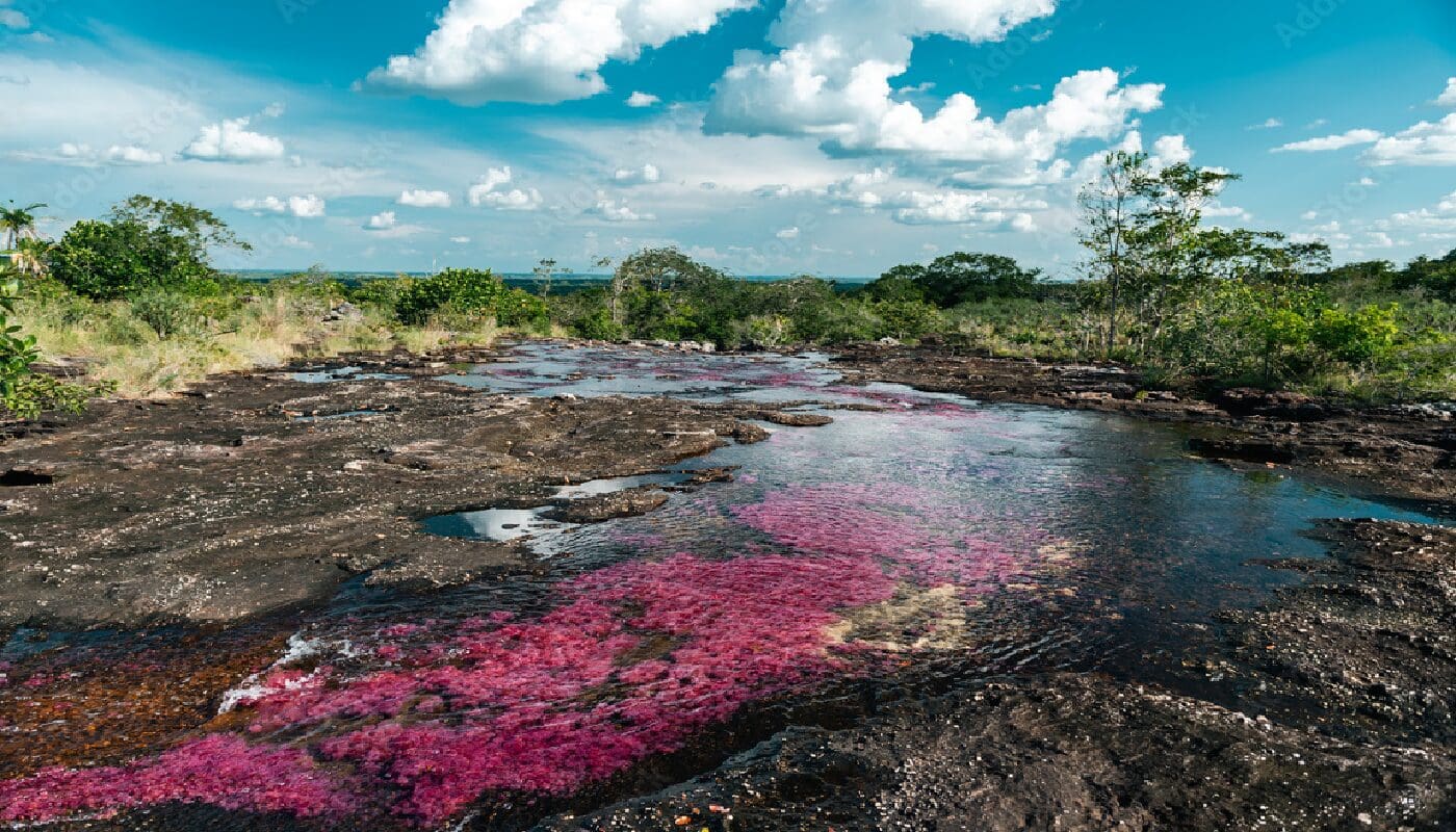 Caño Cristales - Meta