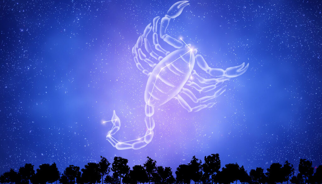 Características de Escorpión