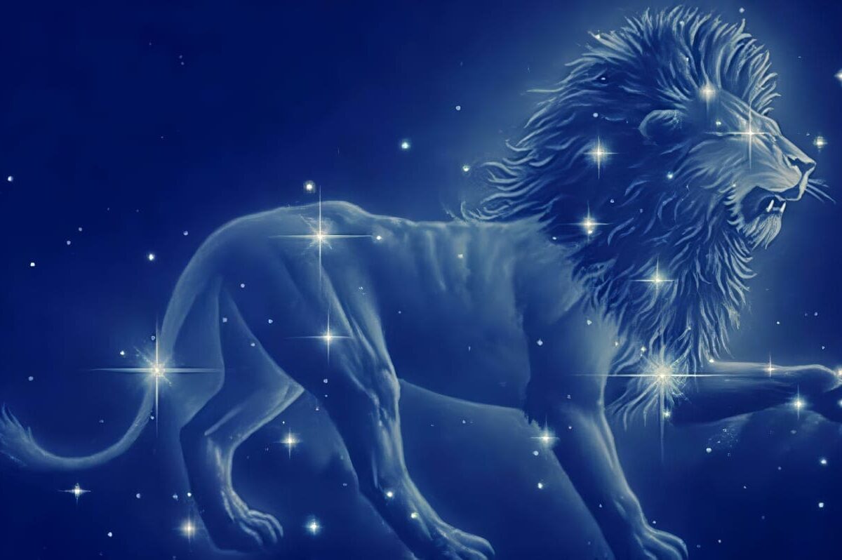 Características de Leo