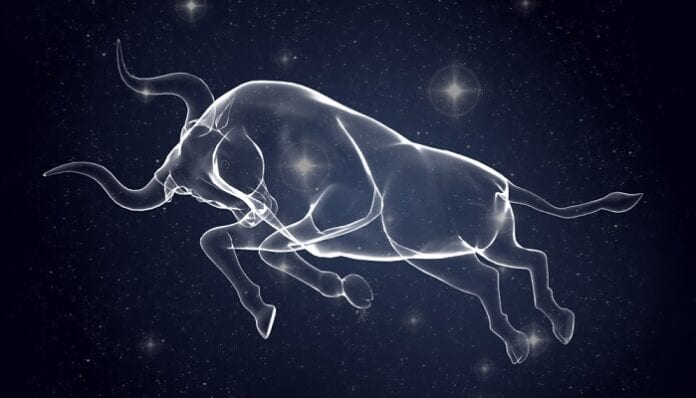 CARACTERÍSTICAS DE TAURO, SIGNOS DEL ZODIACO