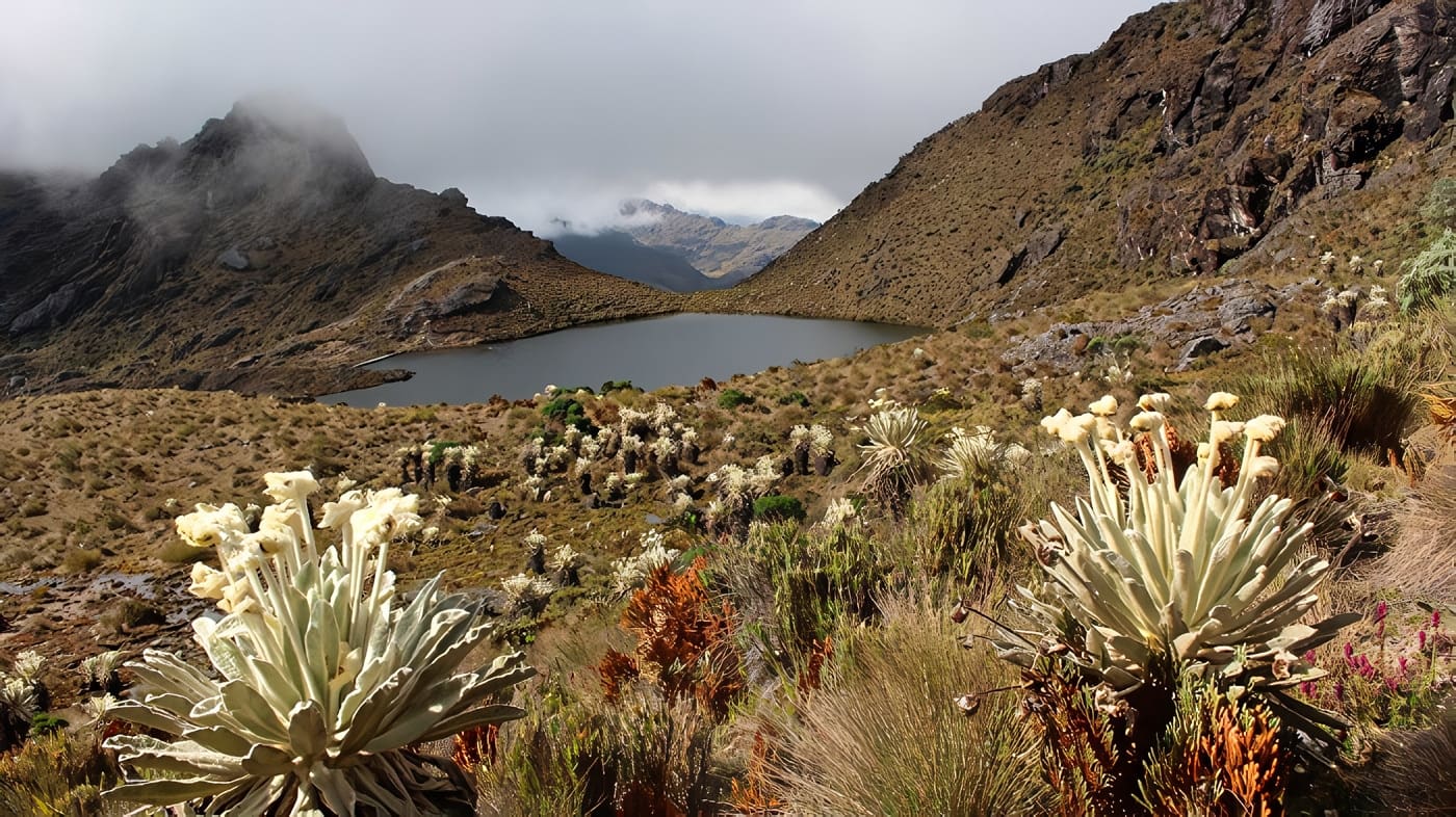 geografía territorio colombiano